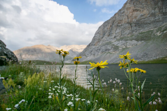 &Ccedil;inili Lake