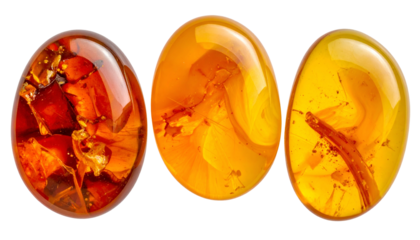 Three polished amber stones, each with preserved ancient plant matter inclusions