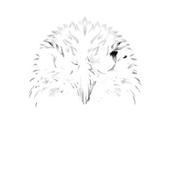 Bold eagle head portrait with red eyes on white background vector illustration