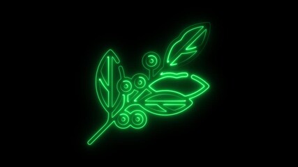 Glowing Green Neon Leaf Branch Isolated on Black Background Eco Friendly Symbol Nature Decoration nature symbol