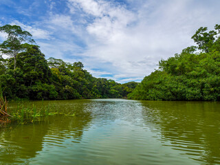 Obraz premium Landscape along a Tortuguero canal in Tortuguera National Park.