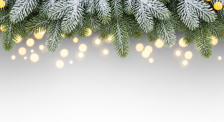 A close-up shot of evergreen fir branches dusted with snow, presented in the upper portion of the frame