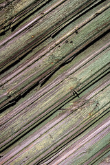 Peeling green paint on weathered wood texture. Abstract architecture background