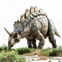 Fototapeta premium Stegosaurus, a herbivorous dinosaur with plates and spikes in white background