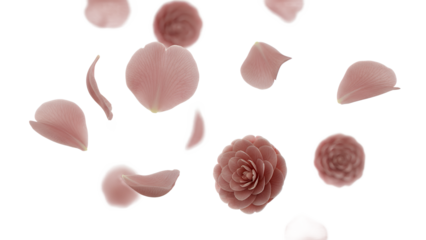 A serene scene of a rose surrounded by scattered petals in a soft, aerial view