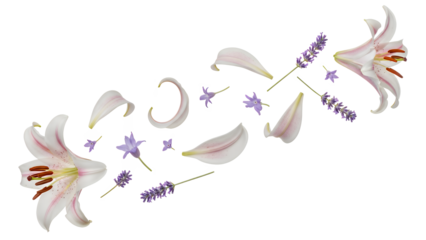 A close-up view of a peony flower with scattered petals and lavender buds in a serene floral arrangement.