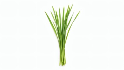 Obraz premium Chives Bunch Fresh Green Herbs on White.