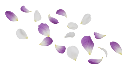 Floating flower petals in a serene and peaceful environment