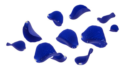 Scattered blue glass fragments on a white surface viewed from above