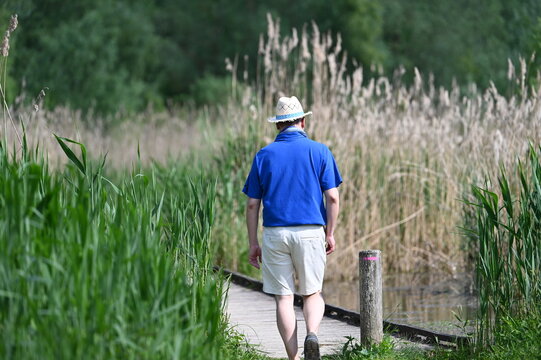 Promeneur dans la nature
