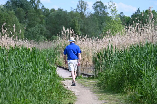 Promeneur dans la nature