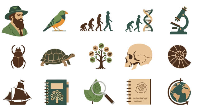 A collection of flat design icons representing various aspects of evolutionary biology and scientific discovery.