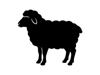 A minimalist black silhouette of a standing sheep captured from a side profile on a clean transparent background. Vector illustration featuring a single lamb icon. © SuprabhBarua