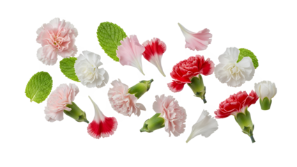 A collection of pink, red, and white flowers with green leaves scattered on a white background.