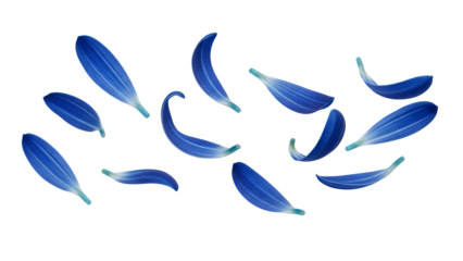 Blue flower petals floating gently in the air, creating a serene and delicate atmosphere