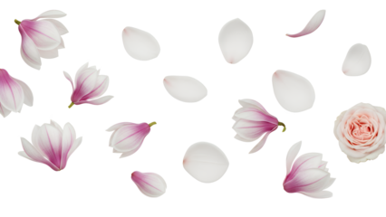 Delicate flower petals scattered around a blooming magnolia flower in a serene environment from a top viewpoint