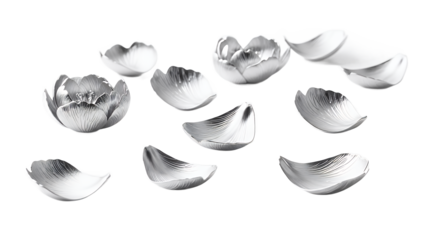 A collection of white lily flower petals scattered on a white background from a top view