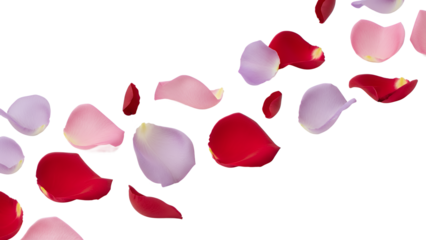 Rose petals falling gently through the air, creating a romantic atmosphere