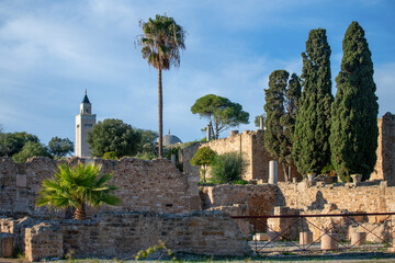 Colline de l'od&eacute;on et parc des villas romaines de Carthage