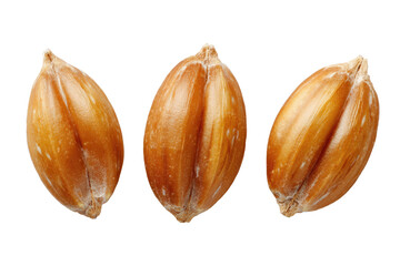 Close-up of three whole wheat kernels. Golden-brown, oval-shaped seeds, showing distinct ridges and texture. Crisp focus, isolated against black background