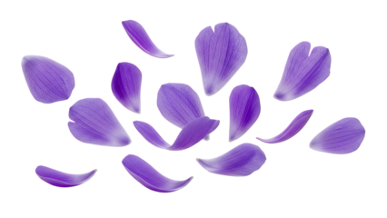Purple flower petals floating delicately in the air, captured from a top-down viewpoint
