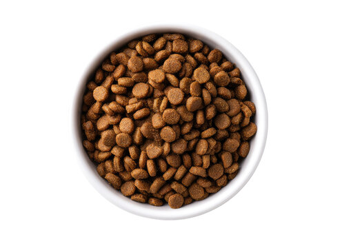 High-angle view of small, round, light brown dog food kibble in a white bowl
