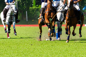 Polo player is using polo mallet hit polo balls during the match.