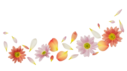 A serene floral arrangement of flowers and petals in a gentle, whimsical pattern