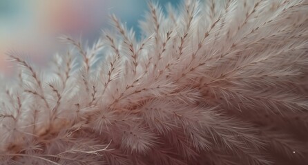 delicate pampas grass plumes in soft pastel hues create a dreamy, ethereal background for weddings and feminine designs.