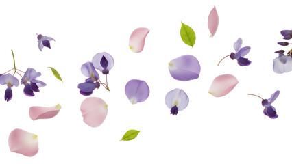 Delicate flower petals and leaves gently falling through the air