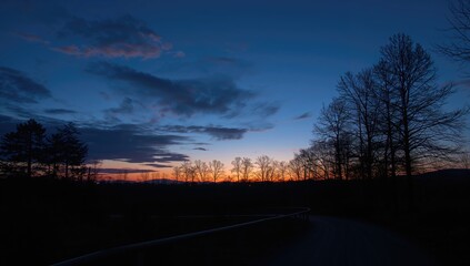 Fototapeta premium Sunset sky with silhouetted trees, suitable for editorial header backgrounds, Earth Day