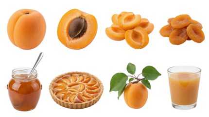 set of an apricot collection in different forms, whole, dried, jam isolated on a transparent background