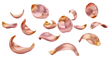 A collection of delicate flower petals scattered on a white background