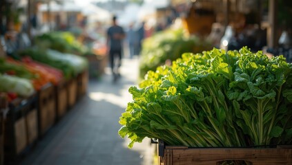 Market stall featuring fresh lettuce, ideal for layout or editorial use