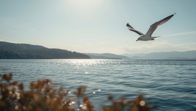 Seagull perched by the water at Lake Skadar, emphasizing bird behavior and natural scenery preservation