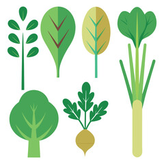 Flat design collection of organic greens and vegetables, colorful vector illustrations of spinach scallion and radish isolated on white