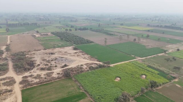 4K Drone Footage, Aerial view of Landscape of Punjab, Pakistan aerial drone shot flying forward over yellow and green mustard feilds with house home hut in middle near Okara Punjab in Asia