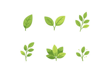 Fototapeta premium Collection of green leaves: simple and minimal plant designs