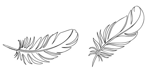 Continuous Line Drawing of Feather Icon, Bird feather line art illustration minimalist continuous line vector drawing, Bird feather continuous one line drawing of bird feather icon Isolated on white. © Gerish