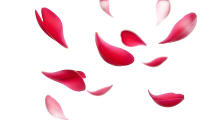 Delicate rose petals floating gently through the air in a serene and romantic atmosphere.