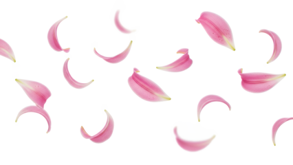 Delicate pink flower petals falling gently through the air, creating a serene and peaceful atmosphere