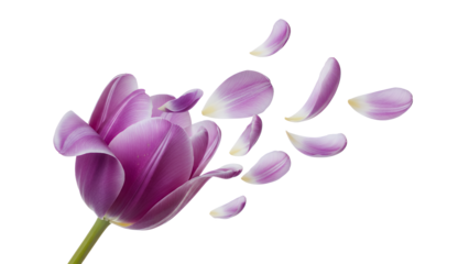 A delicate purple flower with petals falling gently in the air, showcasing its beauty and elegance in a serene environment.