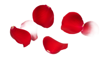 Red rose petals floating in the air against a white background