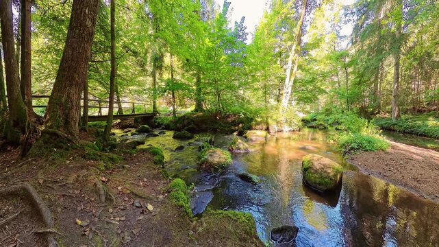 Filmmaterial des  H&ouml;llbach im Naturschutzgebiet H&ouml;llbachtal bei dem Rundwanderweg in Rettenbach bei Falkenstein in Bayern, Deutschland