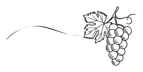 Simple black outline drawing of a fresh grape bunch with a single leaf and elegant flowing line suitable for wine labels menu covers and vineyard branding materials