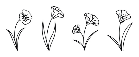 Minimalist black outline botanical plant drawings depicting elegant flowering elements ideal for graphic design print decor or nature inspired projects