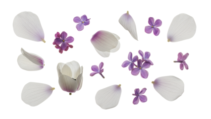 A serene arrangement of white flower petals and purple flowers on a clean background