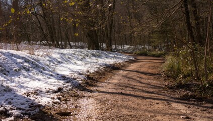 Forest trail with melting snow, seasonal transition and erosion potential, Earth Day
