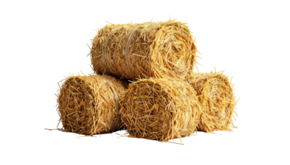 Stacked, cylindrical hay bales, golden brown, tied with twine, isolated on black
