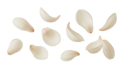 A scattering of delicate, light pink camellia petals floating gently against a clean white background, evoking a sense of springtime beauty and floral elegance